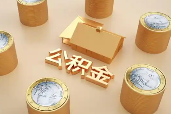 葫芦岛退休公积金代办提取额度是多少？